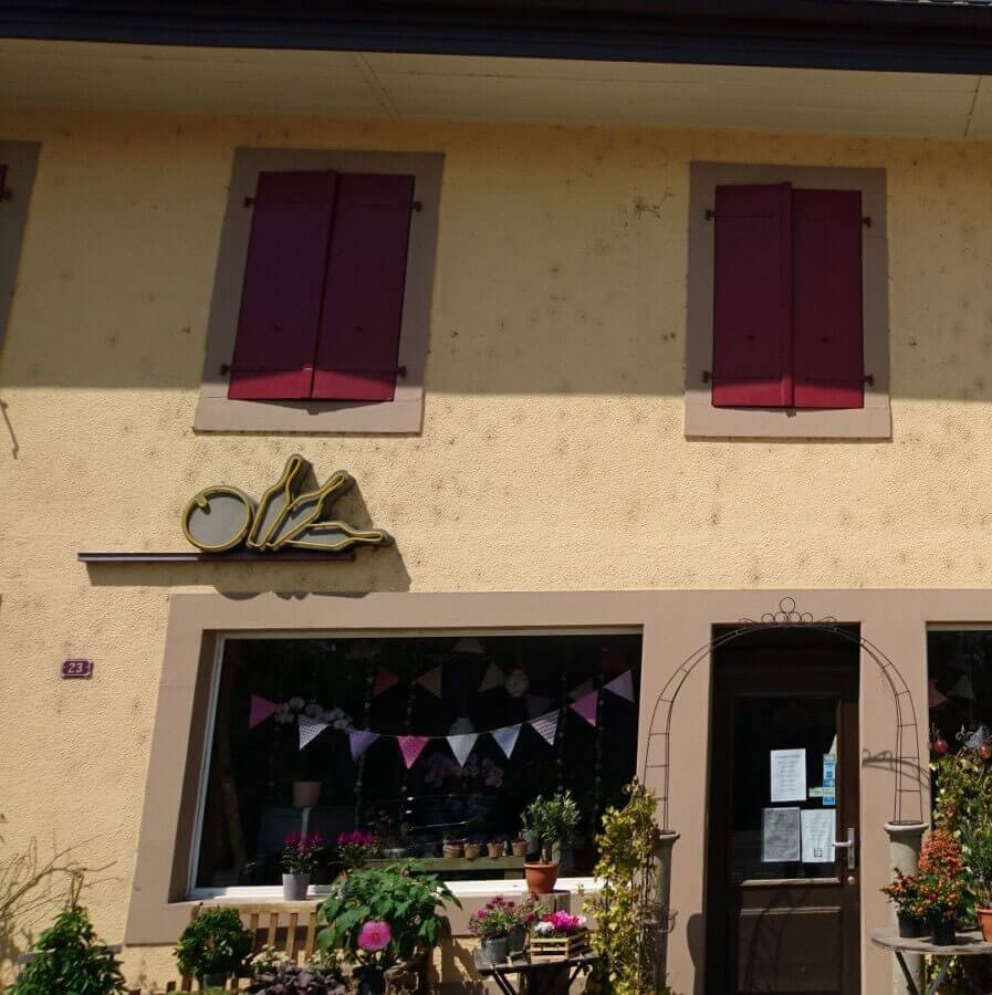 mur recouvert sans les toile d'araignée